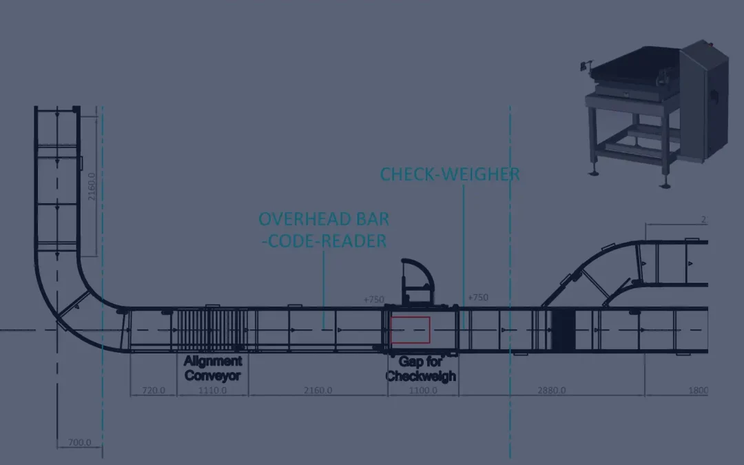 Check-Weighing: Ensuring Accuracy in the Conveyor System